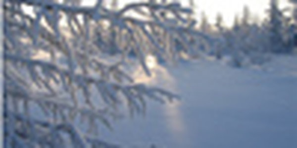 Самая свежая информация о количестве снега в крае!