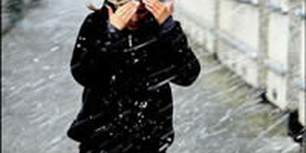 Зимняя сказка обернулась кошмаром