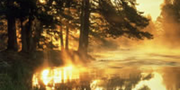 В выходные дни природа подарит приморцам теплую, по-настоящему весеннюю погоду