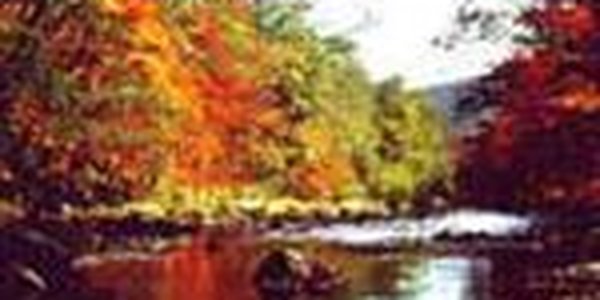 Тепло Приморье не оставляет