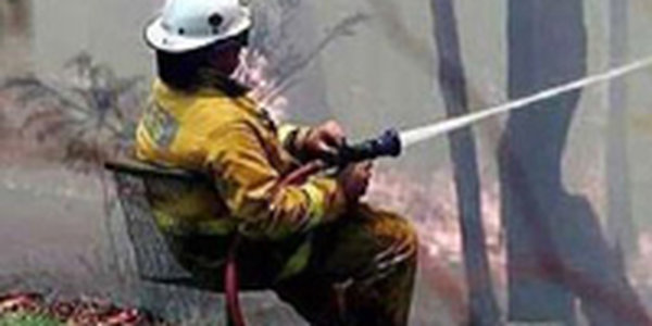 В настоящий момент в Приморье нет лесных пожаров