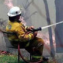 В настоящий момент в Приморье нет лесных пожаров