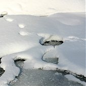 Снежный январь в Сихотэ-Алиньском заповеднике