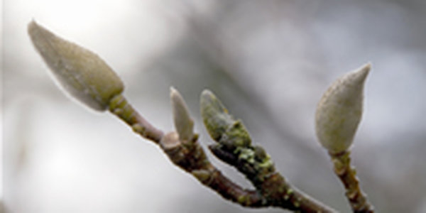 Какие сюрпризы готовит погода на выходные дни?