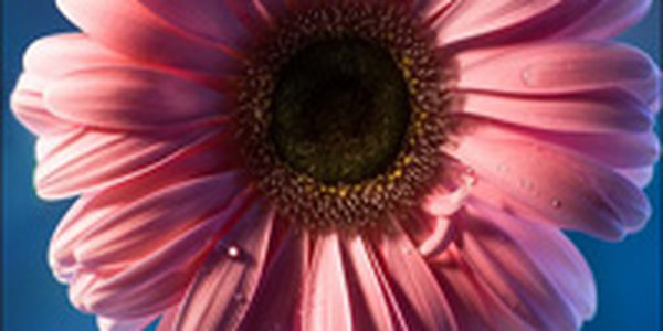 Оригинальный подарок  на 8 марта – реальность или мистика? (ОПРОС)