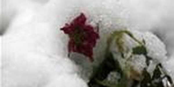 Во Владивостоке выпало 2.5 декадные нормы осадков!