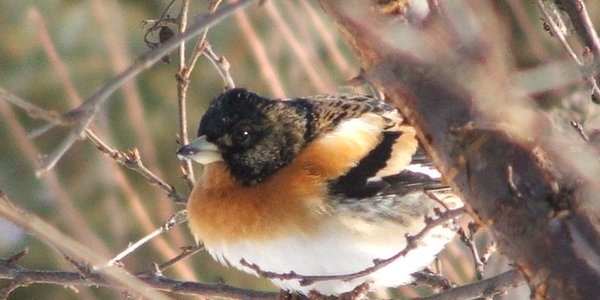 Во Владивостоке и Приморье значительно потеплело