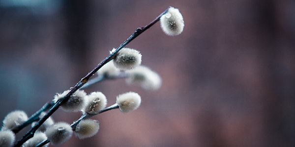 В субботу в Приморье местами пройдет дождь