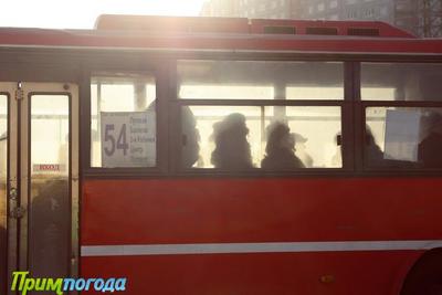 Россияне считают маршрутки самым опасным видом транспорта