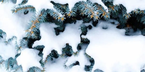 Синоптики рассказали, какой будет погода в декабре