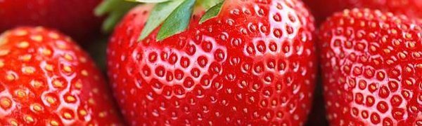 Клубника может защитить кожу от старения