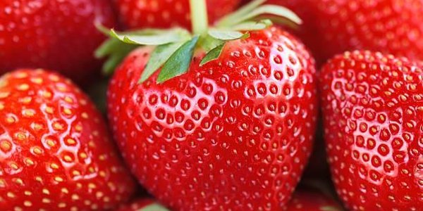 Клубника может защитить кожу от старения