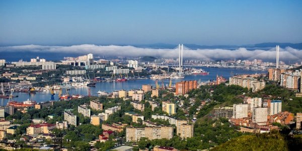 Бухту Золотой Рог приведут в нормальное экологическое состояние