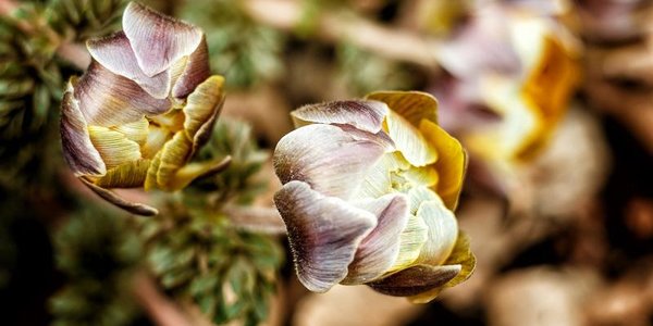 От зимы к лету: завтра в Приморье потеплеет до +23 °C