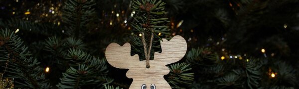 Ботанический сад во Владивостоке принимает новогодние елки на переработку