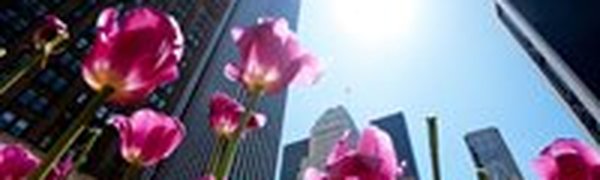 В апреле был установлен новый мировой рекорд тепла на планете