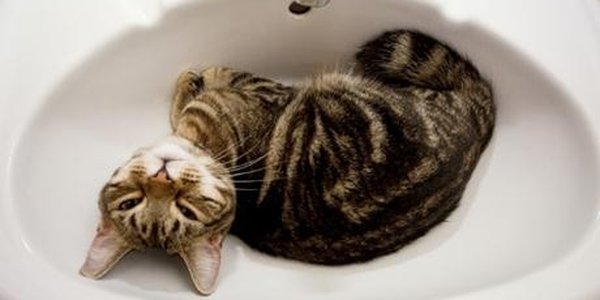 Во Владивостоке продолжается подготовка к отопительному сезону (адреса)