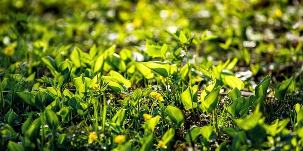 В субботу в Приморье станет теплее