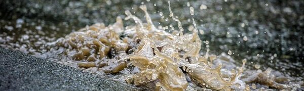 Ситуация на реках Приморья на 7 сентября