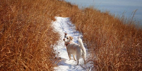 Солнечная и морозная погода установилась в Приморье
