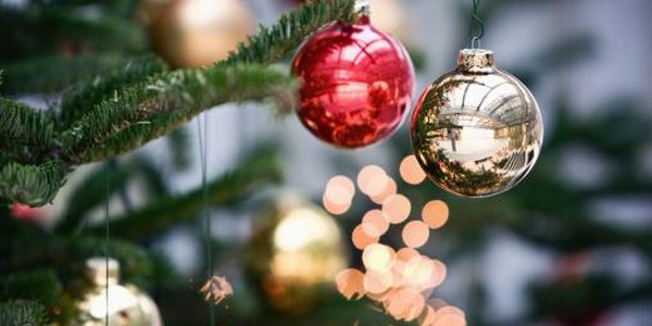 В преддверии Нового года 9 нарядных елей украсят Владивосток