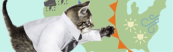 5 самых необычных прогнозов погоды