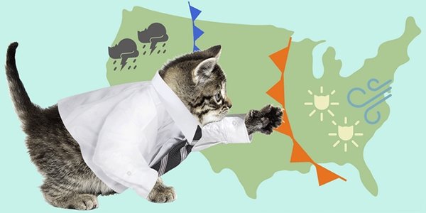 5 самых необычных прогнозов погоды