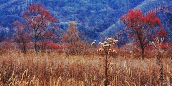После всплеска тепла в Приморье снова похолодало