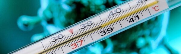 Три вируса гриппа зафиксированы в Приморье. Как с ними бороться (ПАМЯТКА)