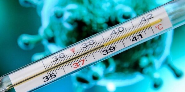 Три вируса гриппа зафиксированы в Приморье. Как с ними бороться (ПАМЯТКА)