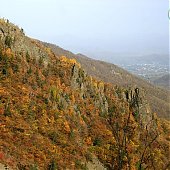 Золотая осень пришла в Приморский край (ФОТО) 
