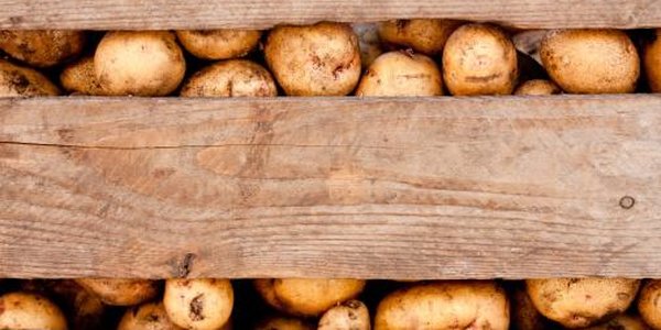 Продуктовая ярмарка пройдёт во Владивостоке 4 и 5 ноября