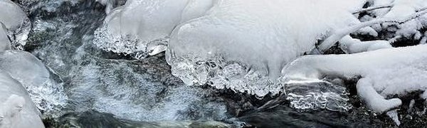 Реки Приморского края начали покрываться льдом