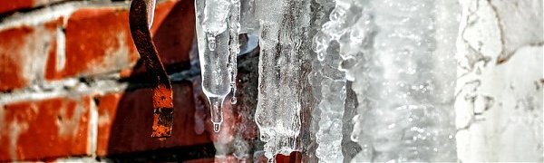 Декабрь в Приморье: экстремальное тепло и избыток осадков