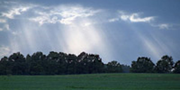 Сегодня в Приморье ожидается небольшой дождь