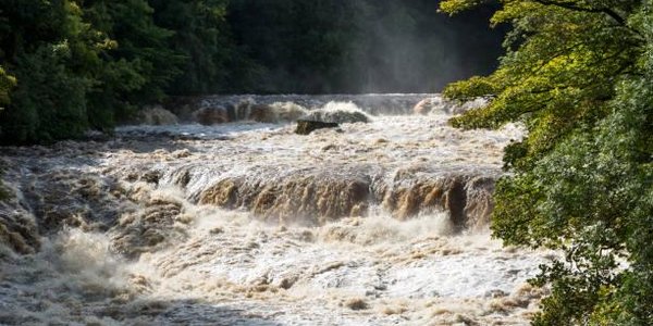 На реках центральной части Приморья растёт интенсивность подъёма воды