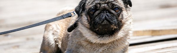 В выходные жители Владивостока смогут увидеть лето только за городом