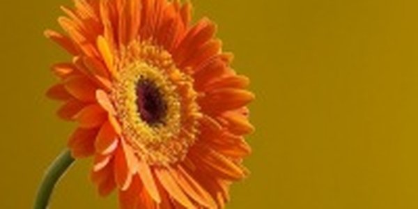 Отличная погода для отдыха установится в Приморье