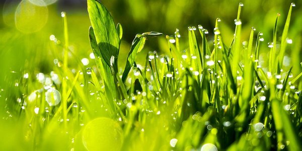 Синоптики рассказали, какими будут первые летние выходные в Приморье