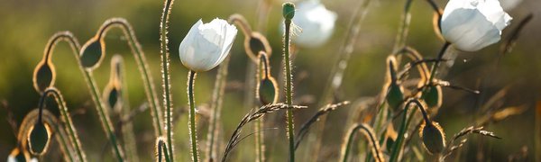 Гидрометцентр представил прогноз погоды на июнь на юге Дальнего Востока