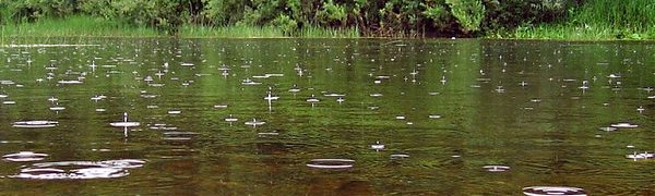 На большинстве рек Приморья начался подъем уровня воды