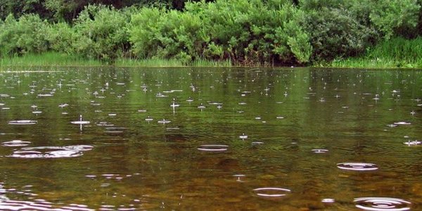 На большинстве рек Приморья начался подъем уровня воды