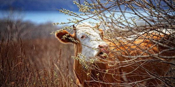 Синоптики дали прогноз погоды на начало следующей недели