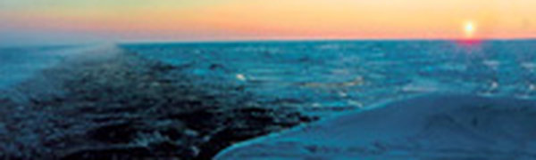 В Северном Ледовитом океане появился новый остров