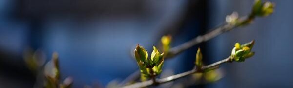 Контрастная погода ожидается в Приморье на выходных