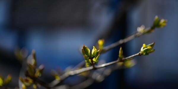 Контрастная погода ожидается в Приморье на выходных