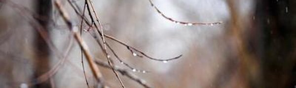 Похолодание и небольшие осадки: прогноз погоды в Приморье на четверг