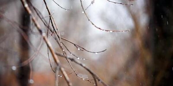 Похолодание и небольшие осадки: прогноз погоды в Приморье на четверг