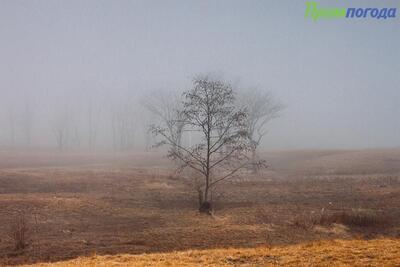 Во Владивостоке в пятницу облачно, ветрено и туман