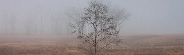 Во Владивостоке в пятницу облачно, ветрено и туман